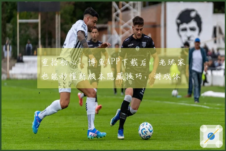 重拾初心！博鱼APP下载后，老玩家也能秒懂新版本隐藏技巧，游戏体验大翻盘