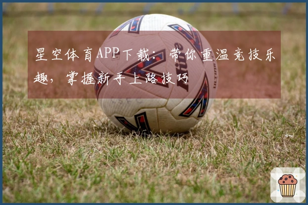 星空体育APP下载：带你重温竞技乐趣，掌握新手上路技巧