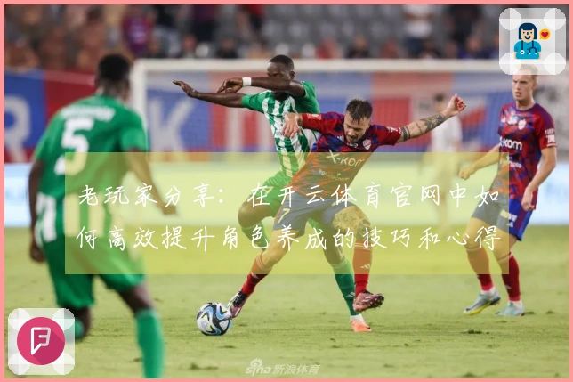 老玩家分享：在开云体育官网中如何高效提升角色养成的技巧和心得